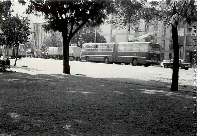 tr29.jpg
