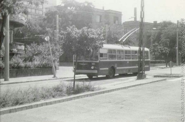 tr34.jpg