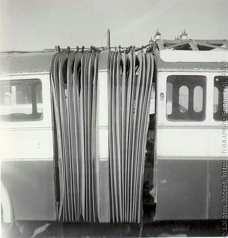 tr38.jpg