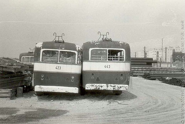 tr41.jpg