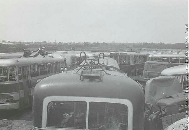 tr49.jpg