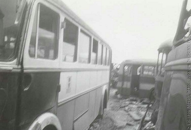 tr51.jpg