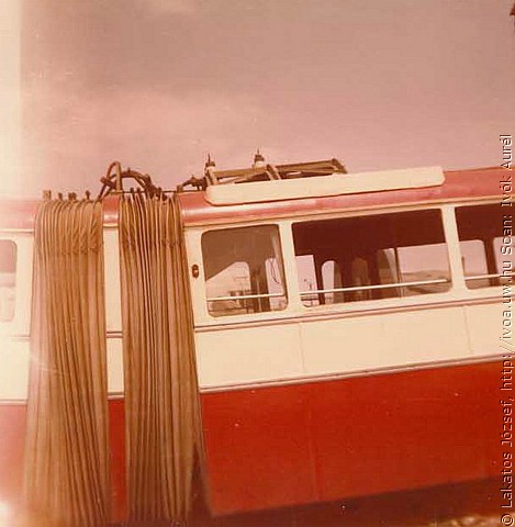 tr54.jpg