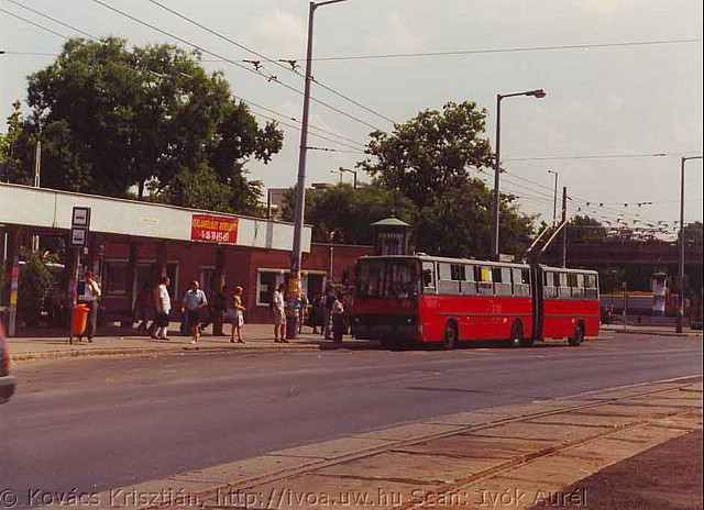 tr19.jpg