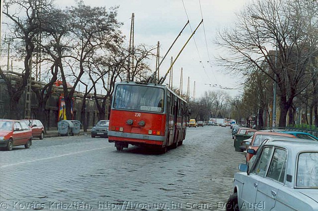 tr25.jpg