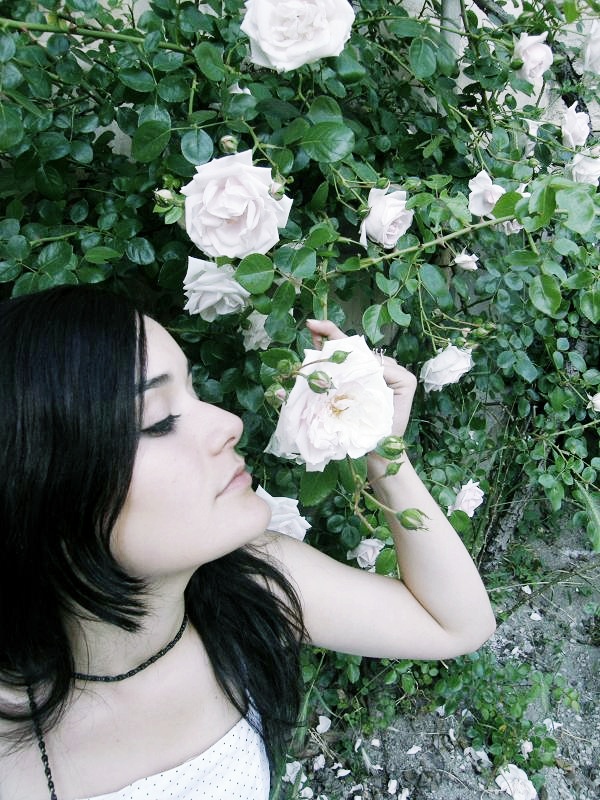 The_Wild_Rose__by_darkbylarissa.jpg