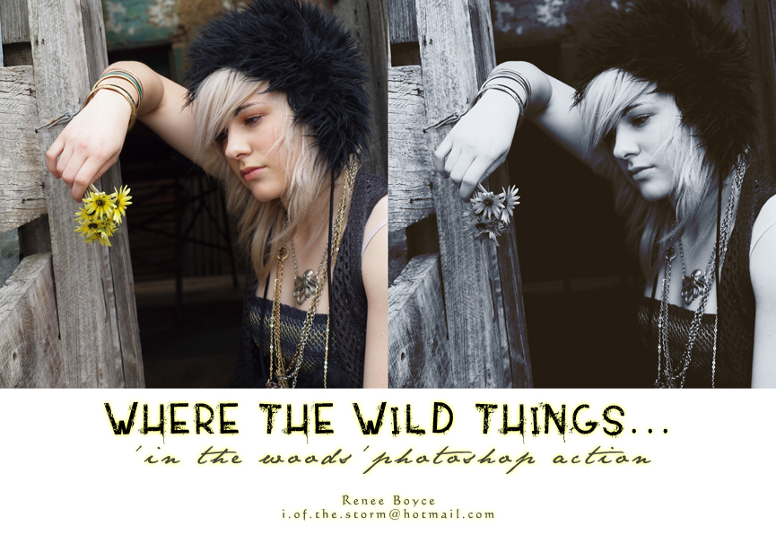 where_the_wild_things_action_by_lullacrie.jpg