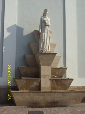 SN856436.JPG