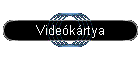 Videkrtya