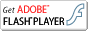 Adobe Flash Player letöltése