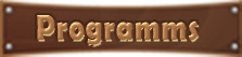 program