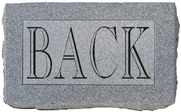 back