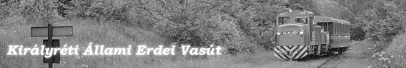 Kirlyrti llami Erdei Vast