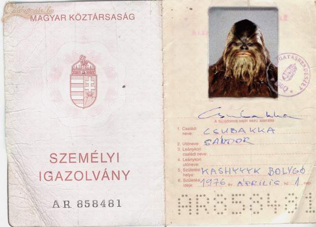 pic_gg_kismalac_00000438.jpg