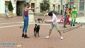 121784a822b50617061c4fcb2af35665_normal