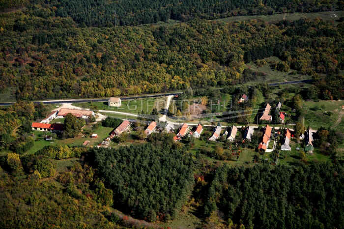 kohanyas.jpg (255813 bytes)