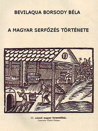 A magyar serfzs trtnete