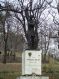  A kpre kattintva galria nylik