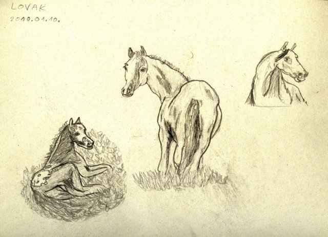 lovak.jpg