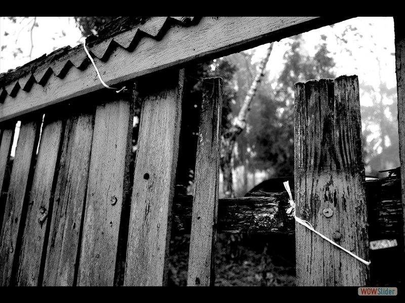 DSC_0258a