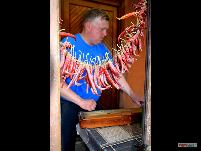 Hungarikum