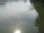 Tisza