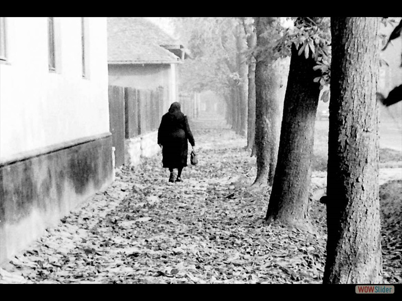A hazatérő
