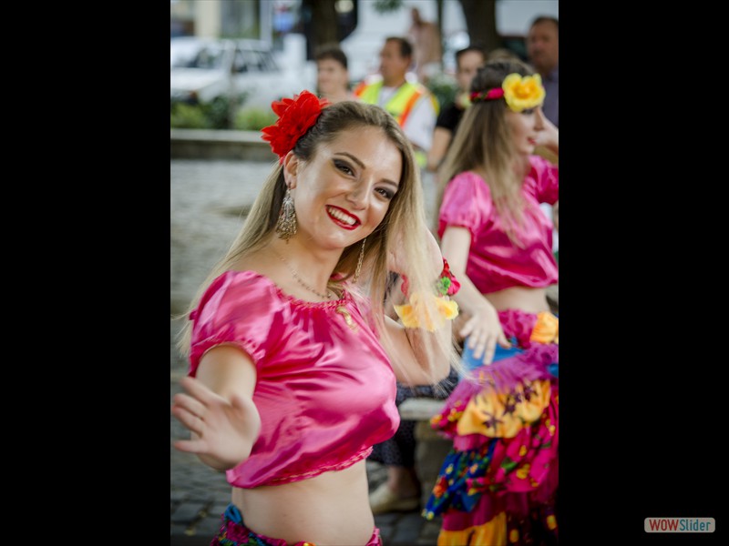 DSC_0506