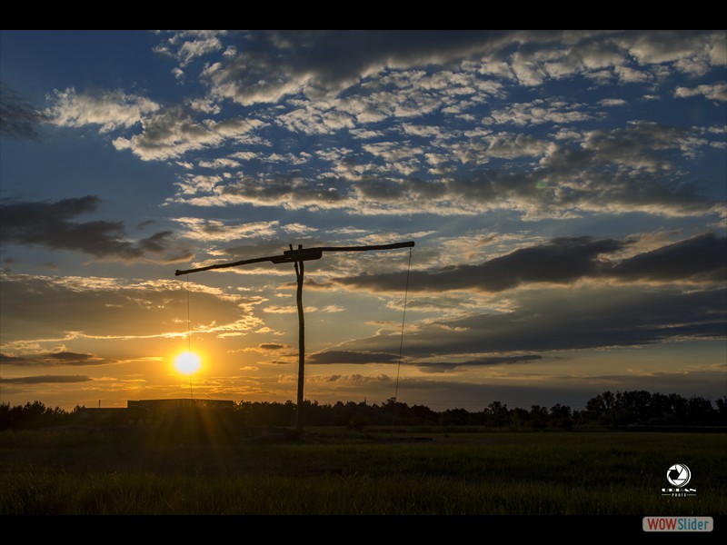 DSC_3756