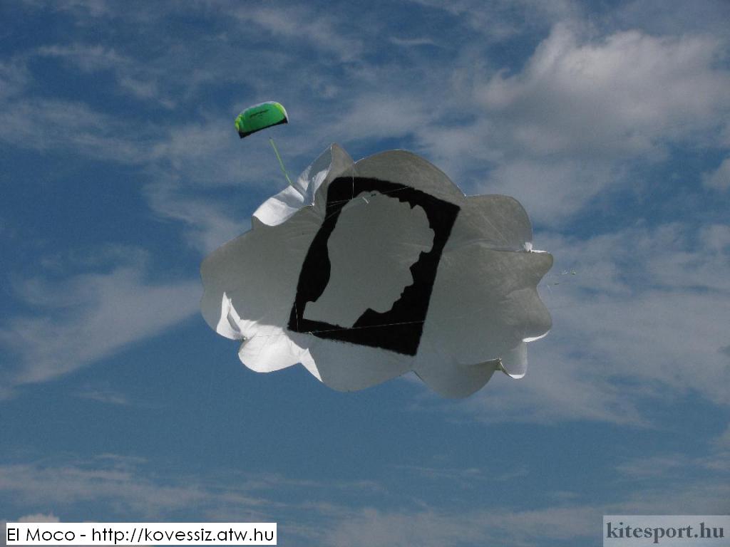"el moco" cometa de 4 hilos, quad kite