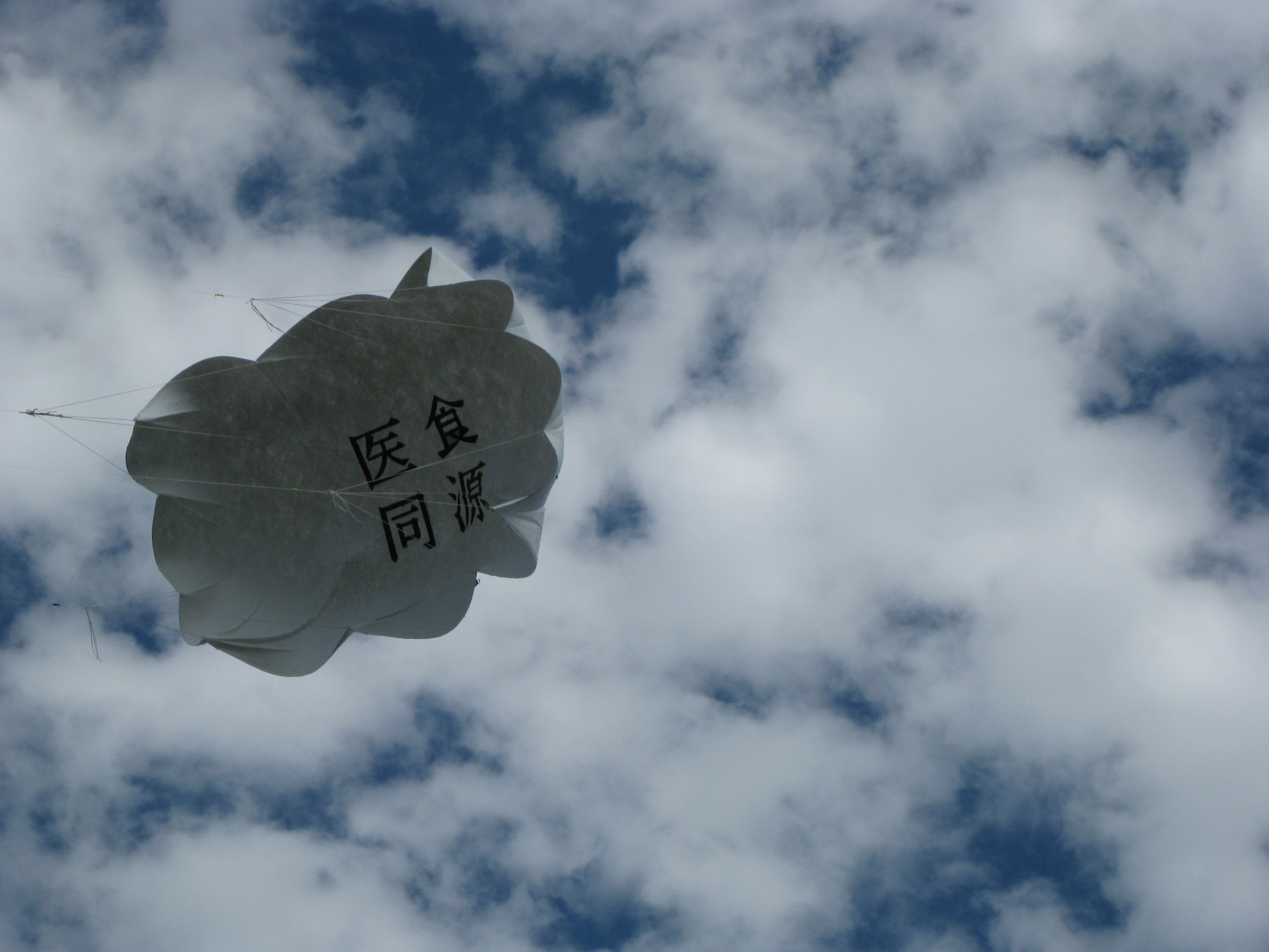 "el moco" cometa de 4 hilos, quad kite, ishoku-doogen