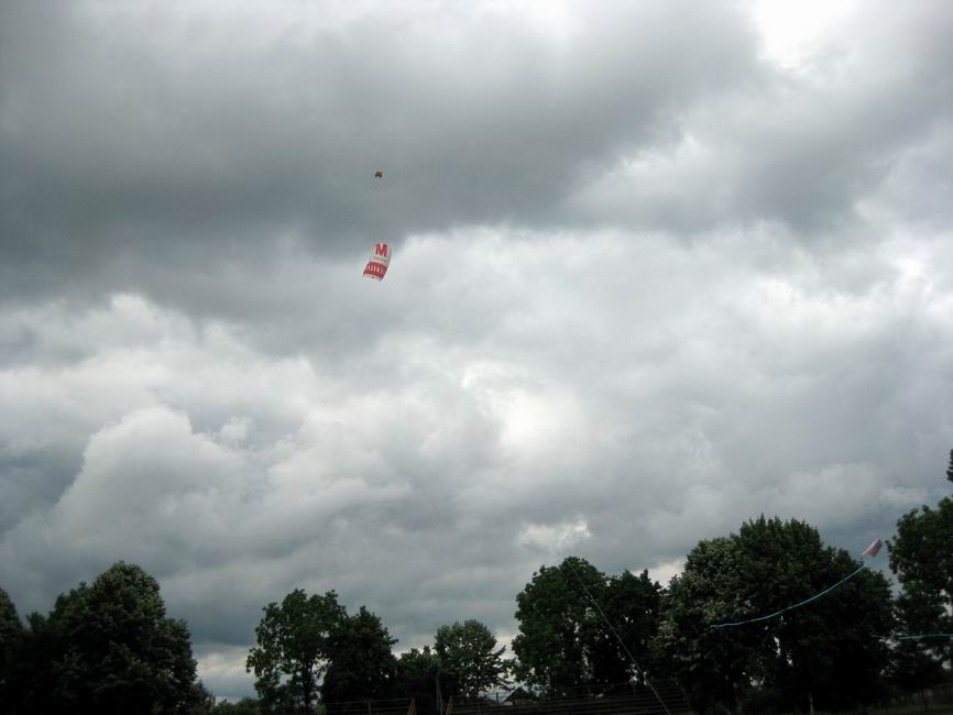 sled & flowform kites
