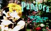 pandora_hearts_015.jpg