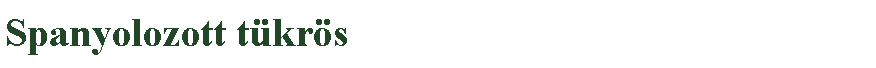 Sz�vegdoboz: Spanyolozott t�kr�s