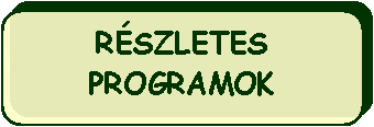 Lekerektett tglalap: RSZLETES PROGRAMOK