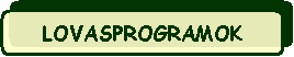 Lekerektett tglalap: LOVASPROGRAMOK