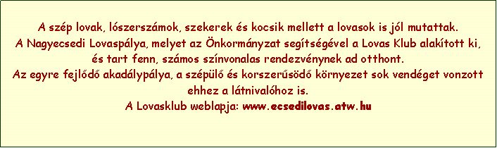 Szvegdoboz: A szp lovak, lszerszmok, szekerek s kocsik mellett a lovasok is jl mutattak. A Nagyecsedi Lovasplya, melyet az nkormnyzat segtsgvel a Lovas Klub alaktott ki,s tart fenn, szmos sznvonalas rendezvnynek ad otthont.Az egyre fejld akadlyplya, a szpl s korszersd krnyezet sok vendget vonzott ehhez a ltnivalhoz is. A Lovasklub weblapja: www.ecsedilovas.atw.hu