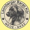 LBK logo