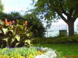 DSC00560.JPG