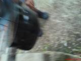 DSC00577.JPG