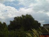 DSC00599.JPG