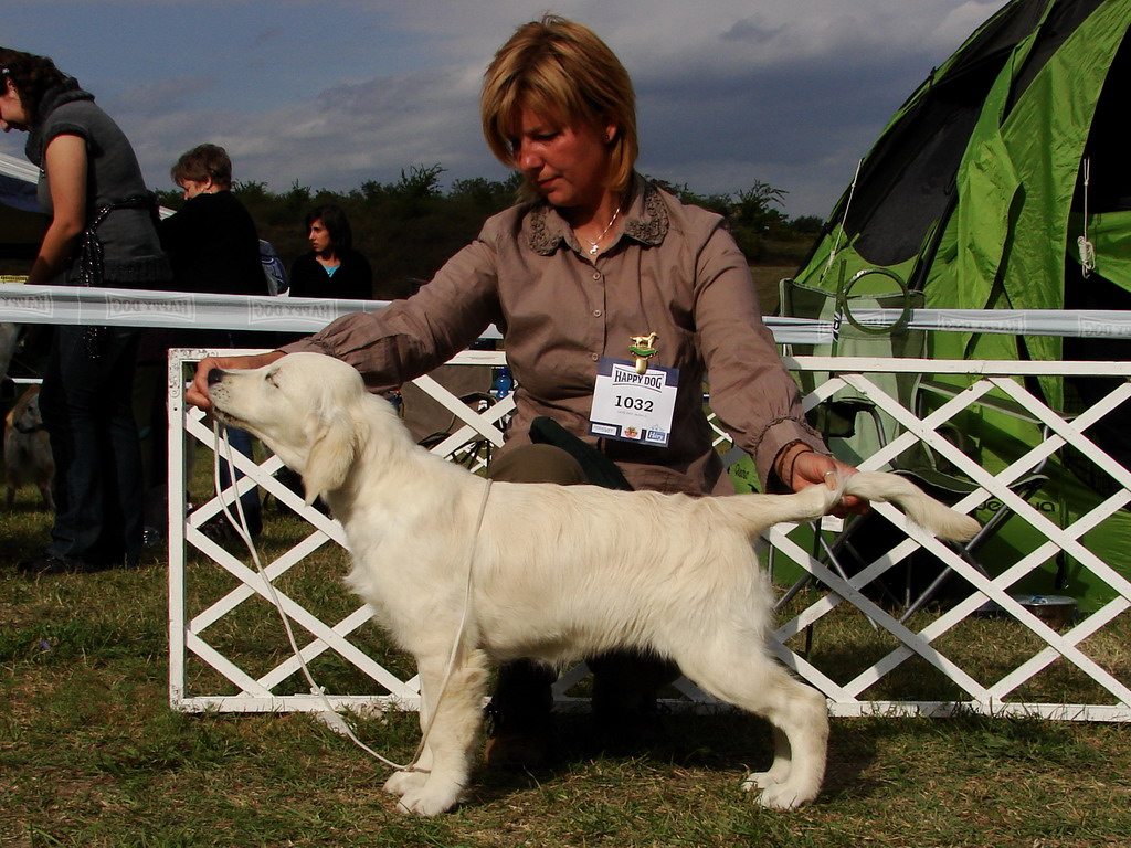2009komaromp.jpg