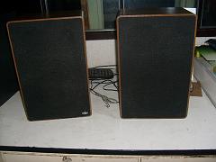 S6309066