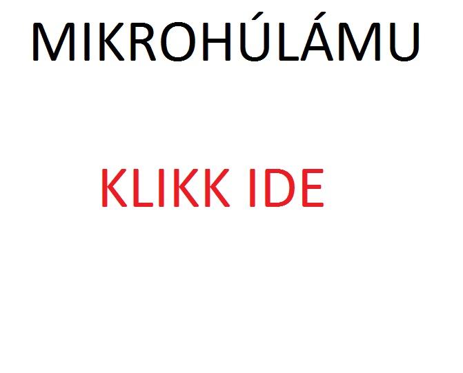 MIKROHULAMU