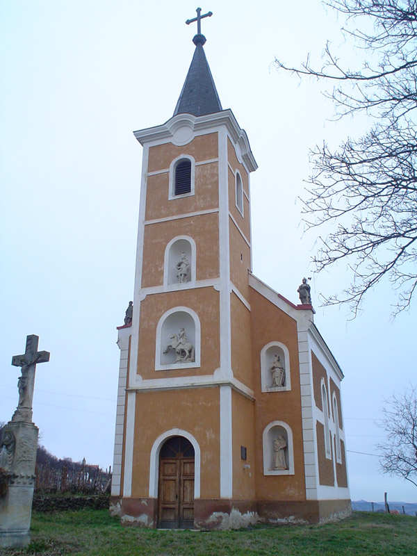 DSC06894
