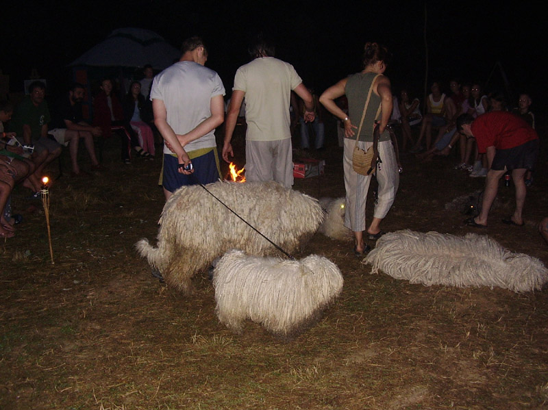 Elsõ Jurtatábor Gébárton jul 8-15.ig 134