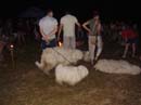 Elsõ Jurtatábor Gébárton jul 8-15.ig 134