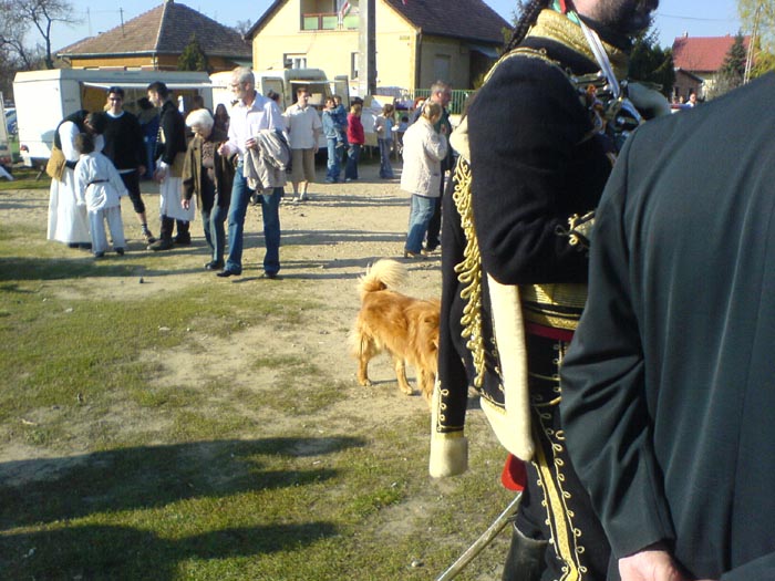 DSC00707