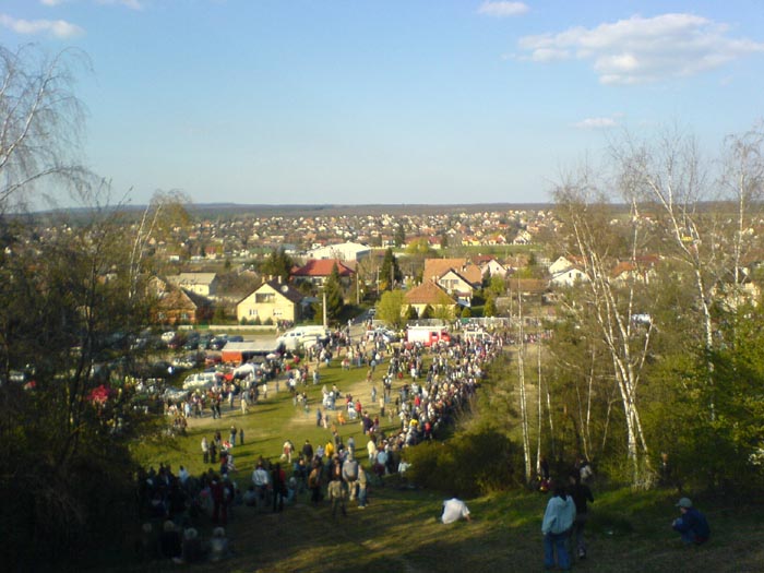 DSC00717