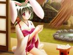anime-rabbit-girl_t1.jpg